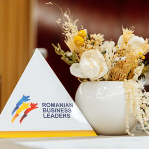 Aranjament din flori uscate & stabilizate în vas ceramic