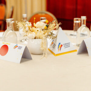 Aranjament din flori uscate & stabilizate în vas ceramic