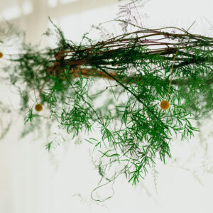 Coronita suspendata din plante stabilizate
